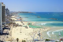 La spiaggia di Tel Aviv, Israele, è il regno del divertimento e del relax. Alcune zone sono accessibili solo a pagamento, ma in compenso ogni desiderio dei turisti verrà esaudito: ...