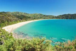 Spiaggia mozzafiato lungo la costa del Abel Tasman National Park in Nuova Zelanda - © Jiri Foltyn / Shutterstock.com