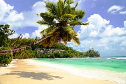 Spiaggia tropicale a Baie Lazare: la baia si trova sull'isola di Mahé alle Seychelles - © sashahaltam / Shutterstock.com