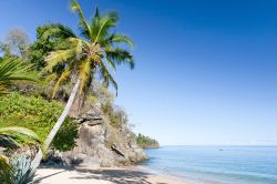 Spiaggia tropicale a Nosy Be, la famosa isola corallina nel nord del Madagascar - © Pierre-Yves Babelon / Shutterstock.com