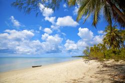 Splendida Spiaggia tropicale di sabbia bianca isola di mafia Tanzania - © Kjersti Joergensen / Shutterstock.com