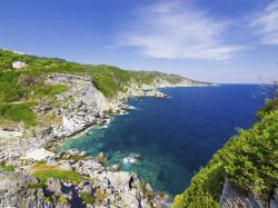 Splendida cala rocciosa nel mare di Skopelos in Grecia - © Mr. Green / Shutterstock.com