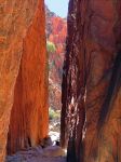 La gola di Standley Chasm, MacDonnell Ranges - La catena montuosa a nord-ovest di Alice Springs. Ci troviamo nel sud del Northern Territory, nel cuore dell'Australia, il cosiddetto Red Centre ...