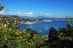 Lungo la Route du Mimosa (Strada della Mimosa) a Mandelieu-la-Napoule in Costa Azzurra, Francia - Cortesia foto: Mandelieu-La Napoule Tourisme