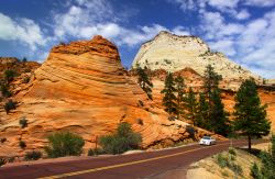 La Zion Canyon Scenic Drive è una spettacolare strada panoramica all'interno del Zion National Park dello Utah, USA.  Guidare tra i canyon, le montagne e gli avvallamenti della ...