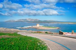 Strada per Stintino, con vista sulla torre della Pelosa e l'isola dell'Asinara (Sardegna) - © Al_Kan / Shutterstock.com