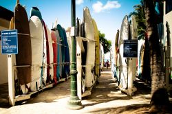 Surf in mostra sulla spiaggia di Waikiki. La famosa "beach" di Honolulu attira tantissimi appassionati della tavola, che considerano le Hawaii come la loro Mecca - © mdlart / ...