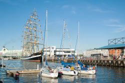 Durante i "Giorni Marittimi" di Tallinn, nel mese di luglio,  potrete ammirare il  veliero Krusenshtern ormeggiato sul lungomare - © Igor Sokolov (breeze) / Shutterstock.com ...