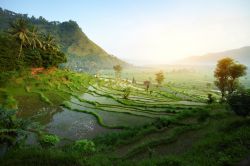 Le geometrie particolari dei terrazzamenti utilizzati per coltivare il riso. Questi paesaggi sono tipici delle zone interne di Bali, la magnifica isola dell'arcipelago della Sonda, in Indonesia ...