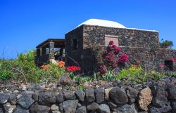 Un tipico dammuso, le particolari case di Pantelleria sono molto ricercate dai turisti che li affittano durante l'estate. La loro origine risale a circa mille anni fa, al tempo della dominazione ...