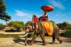 Tour in elefante nelle rovine di Ayutthaya Thailandia ...