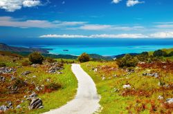 Trampling, ovvero escursione di più giorni sui sentieri dell'Abel Tasman National Park in Nuova Zelanda - © Pichugin Dmitry / Shutterstock.com