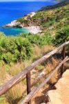 Trekking lungo Riserva dello Zingaro in Sicilia. Questo tratto di costa selvaggia è raggiungibile solamente a piedi e offre calette appartate molto spettacolari, con mare limpido ed una ...