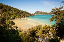 Trekking nel parco di Abel Tasman: ci troviamo nell'Isola del Sud in Nuova Zelanda - © Martin Maun / Shutterstock.com