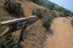 Trekking verso la spiaggia La Licciola, Sardegna - La bellissima spiaggia La Licciola si trova a pochi km da Santa Teresa di Gallura in località Valle dell'Erica. In realtà ...