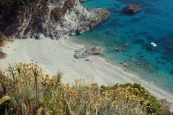Tropea,  Capo Vaticano: macchia mediterranea a precipizio sulla spiaggia