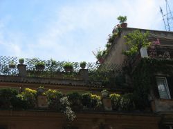 A passeggio per Roma alzate lo sguardo di tanto in tanto: in cima ai palazzi vedrete spesso giardini pensili pieni di fiori, piante rampicanti o veri e propri orti, realizzati sugli attici dove ...