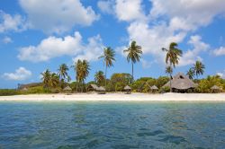 Una spiaggia bianca a Mafia isola Tanzania - © Kjersti Joergensen / Shutterstock.com