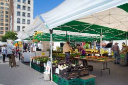 Union Square Greenmarket a New York, Stati Uniti. Dai pochi agricoltori che diedero vita a questo mercato nel 1976, oggi, in periodo di alta stagione, sono più di 140 - fra agricoltori, ...