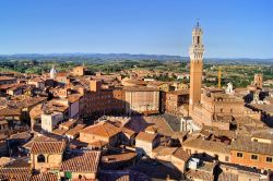 Veduta aerea di Siena (Toscana), con la celebre Piazza del Campo e l'alta Torre del Mangia che affianca il Palazzo Comunale. Intorno a Piazza del Campo, dall'originalissima forma a conchiglia, ...