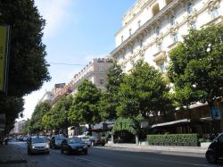 Il centro di Roma è anche verde. Tra monumenti, palazzi eleganti e preziose testimonianze del passato, non mancano i viali alberati che offrono un po' d'ombra ristoratrice nelle ...