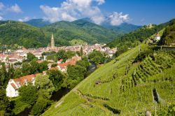 Vigneti Grand Cru a Thann, Alsazia (Francia) - © PHB.cz - Fotolia.com