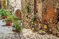 Villaggio delle viole, Tourrettes sur Loup  ...