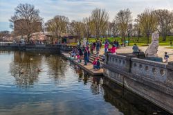 Abitanti e turisti nutrono le papere durante il festival dei ciliegi fioriti al Branch Brook Park di Newark (USA) - © Andrew F. Kazmierski / Shutterstock.com