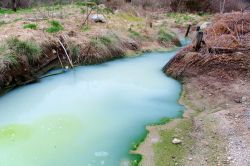 Acqua di zolfo al Parco di Canale Monterano, Roma, Lazio.


