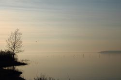 Alba sul Lago Trasimeno nella zona di Torricella di Magione, in Umbria