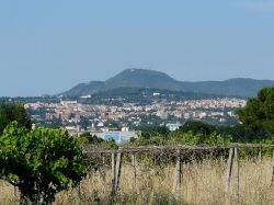 Albano Laziale, il panorama sui Castelli Romani nel Lazio  - © Deblu68 - Wikipedia