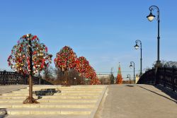 Albero dell'amore sul ponte Luzhkov a Mosca, Russia - Si trova di fronte al Cremlino, oltre il fiume Moscova, questo singolare albero dove le coppie appendono lucchetti augurandosi amore ...