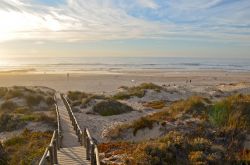 Algarve, la scalinata in legno per la spiaggia di Monte Clerigo vicino a Aljezur, Costa Vicentina, Portogallo.
