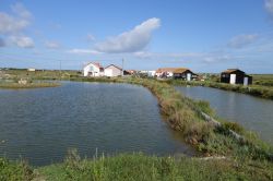 Allevamento di ostriche a Marennes, Francia. Una delle tante coltivazioni di questo mollusco ospitate nel bacino di Marennes, sulla riva destra della Seudre.
