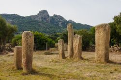 I menhir dell'allineamento di Stantari, presso l'area megalitica di Cauria, nella zona di Sartène, in Corsica.

