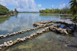 Un'antica trappola per pesci fatta con pietre sull'isola di Huahine, Polinesia Francese: in base alle tipiche tradizioni polinesiane questo sistema di pesca viene reliazzato nelle acque ...