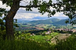 Apiro, il borgo nelle Marche ai piedi del Monte San Vicino