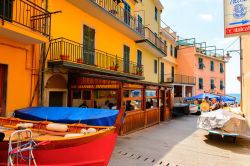 Architettura variopinta nel villaggio di Manarola, Cinque Terre, Liguria. Il borgo si struttura attorno al corso principale.
