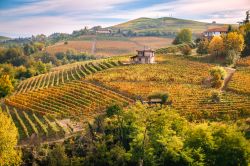 Autunno a Barolo tra i vigneti di Dolcetto e Barcaresco.