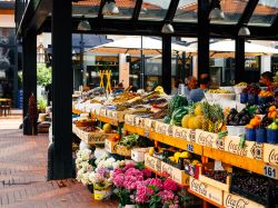 Bancarelle di frutta e verdura al mercato di Tirana, Albania - © Irina Lavrishcheva / Shutterstock.com