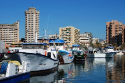 Barche da pesca ormeggiate al porto di Fuengirola, Malaga, Spagna - © Arena Photo UK / Shutterstock.com 