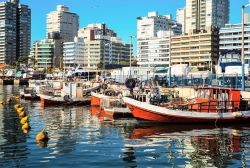 Barche da pesca ormeggiate al porto di Punta del Este, Uruguay.

