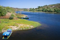 Barche in legno ormeggiate sulla riva del Tago a Vila Nova da Barquinha, Portogallo.
