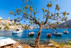 Barche ormeggiate lungo la costa dell'isola di Symi, Grecia. Questo splendido territorio del Mare Egeo è fra i più apprezzati dai turisti che cercano la tradizionale architettura ...