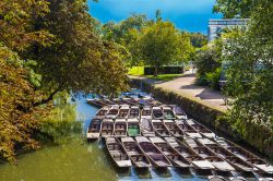 Barchette ormeggiate sul fiume Tamigi a Oxford, Inghilterra (UK).



