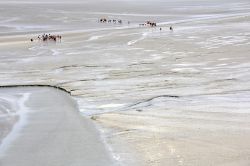 Bassa marea a Mont Saint Michel. Le maree della zona sono ritornante ai livelli originari dopo i lavori di ripristino della baia e l'isola è toranta ad essere tale, proprio in occasione ...