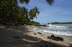 Un bel paesaggio della Guyana Francese. Palme, spiaggia dalla sabbia finissima e acque cristalline.



