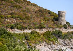 Cagnano, Corsica: la celebre Torre dell'Osse, antica costruzione genovese sulla strada ventosa di Cap Corse - © Naeblys / Shutterstock.com