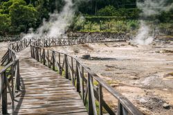 Caldeiras das Furnas sull'isola di Sao Miguel, Azzorre (Portogallo). Grazie alle passerelle in legno si possono osservare le "caldeiras" da vicino - © Nessa Gnatoush / Shutterstock.com ...