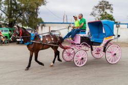 Un calesse utilizzato come taxi nel centro storico di Bayamo, il capoluogo della provincia di Granma (Cuba) - © Matyas Rehak / Shutterstock.com